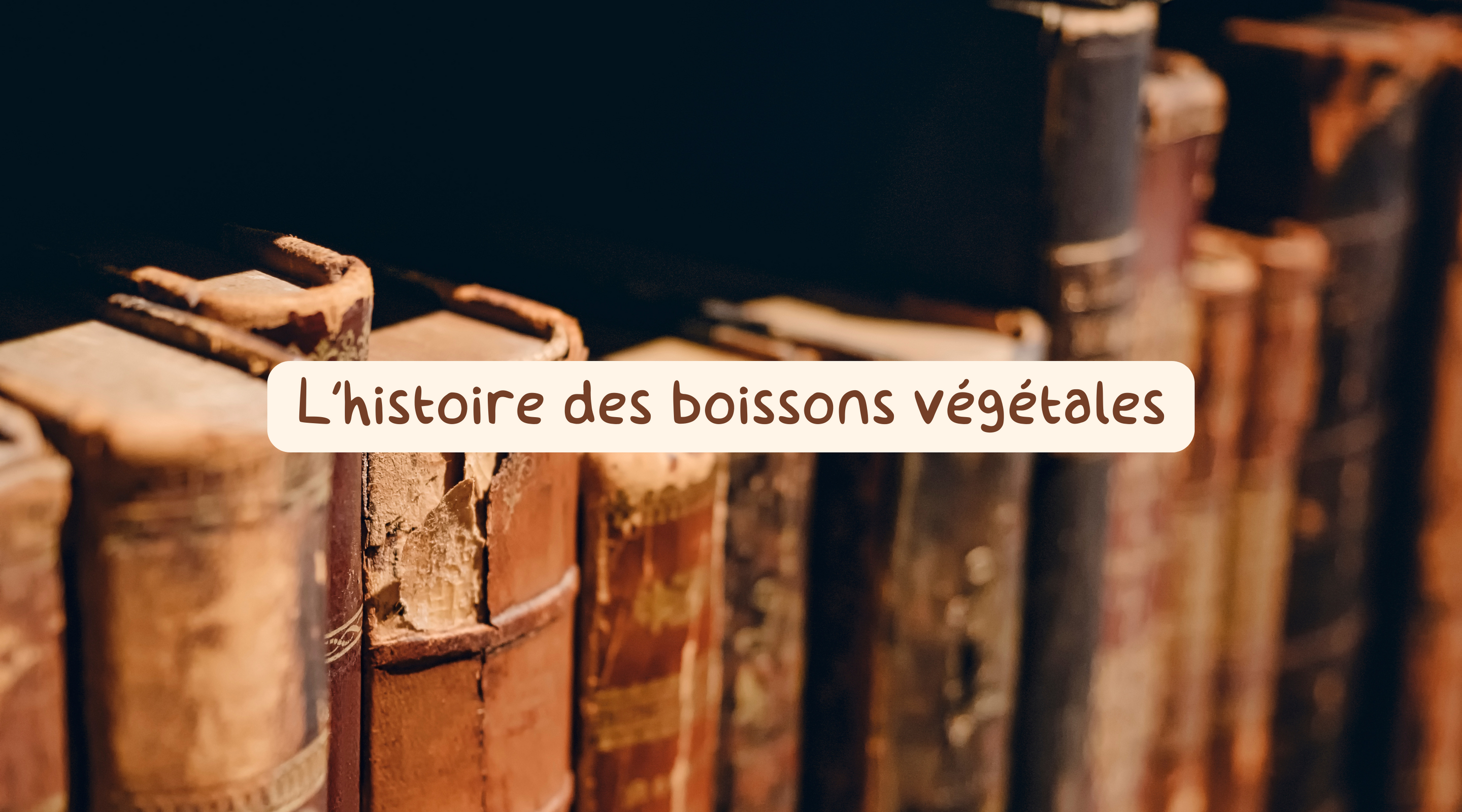L'Histoire des boissons végétales : Des origines anciennes à leur popularité moderne