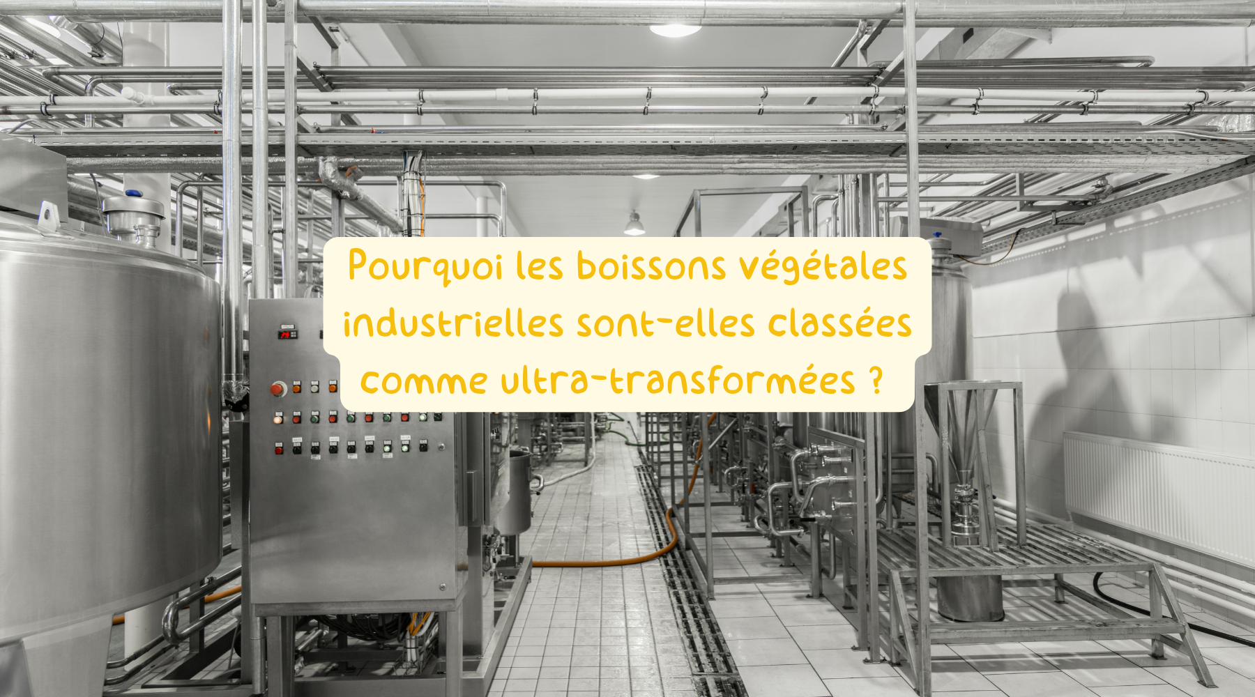 Pourquoi les Boissons Végétales Industrielles sont-elles Classées comme Ultra-Transformées ? Image