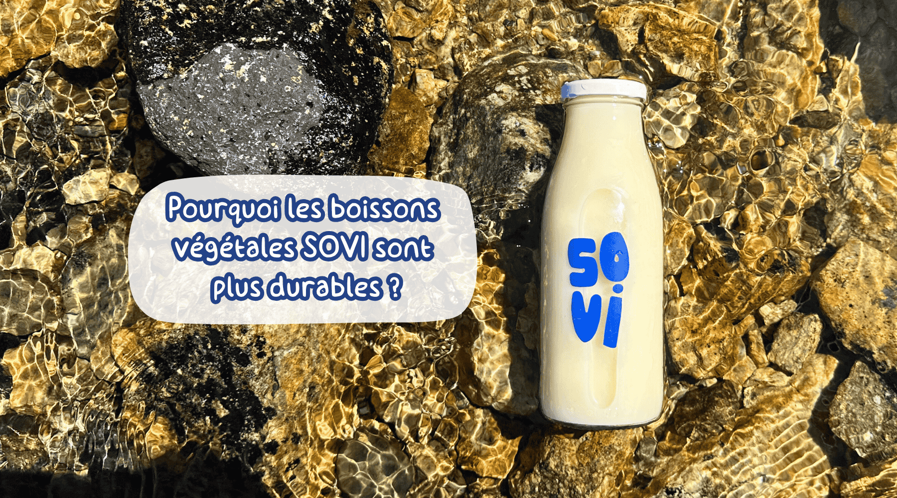 Comment SOVI réduit déchets et impact carbone avec sa boisson végétale écologique ? Image
