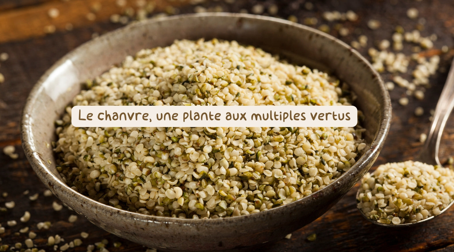 Le chanvre, une plante aux multiples vertus Image