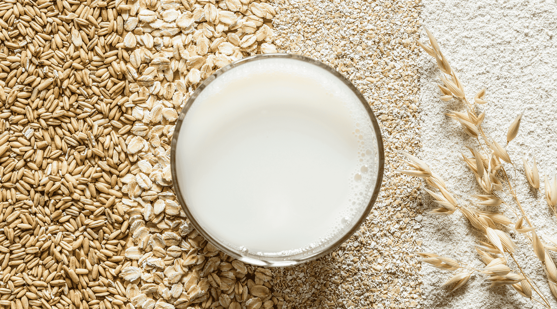 Comment intégrer les boissons végétales dans ta routine quotidienne ? Image